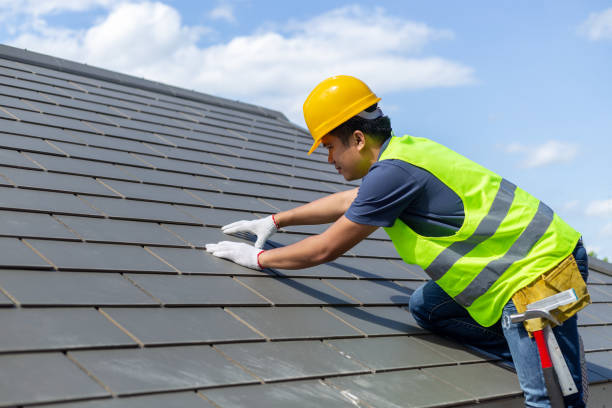 Best Roof Gutter Cleaning  in Elwood, KS